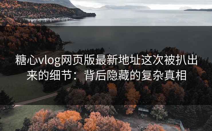 糖心vlog网页版最新地址这次被扒出来的细节：背后隐藏的复杂真相