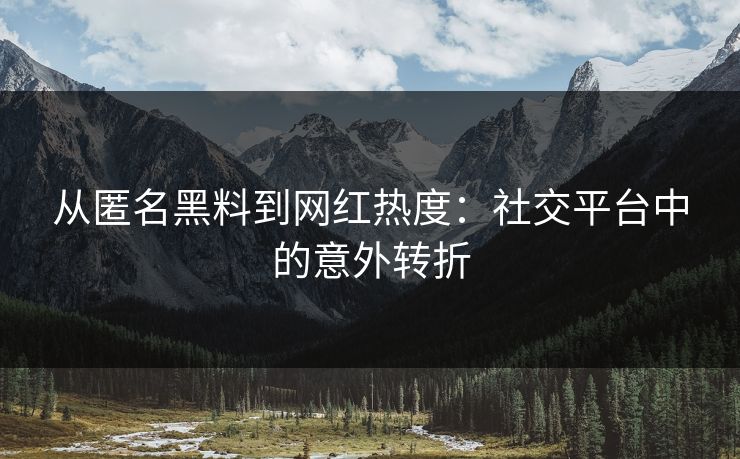 从匿名黑料到网红热度：社交平台中的意外转折
