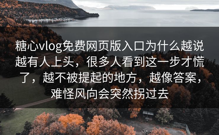 糖心vlog免费网页版入口为什么越说越有人上头，很多人看到这一步才慌了，越不被提起的地方，越像答案，难怪风向会突然拐过去