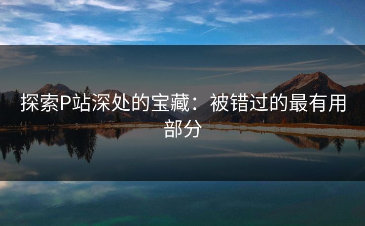 探索P站深处的宝藏：被错过的最有用部分