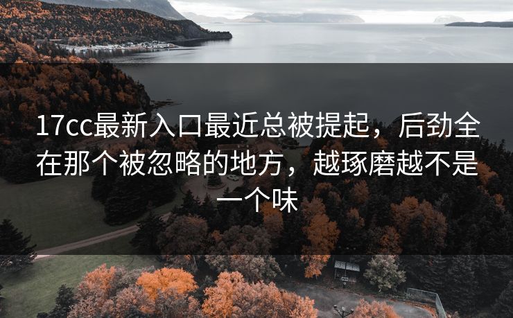 17cc最新入口最近总被提起，后劲全在那个被忽略的地方，越琢磨越不是一个味